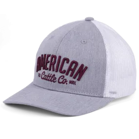 ACC Embroidered Hat-Gray