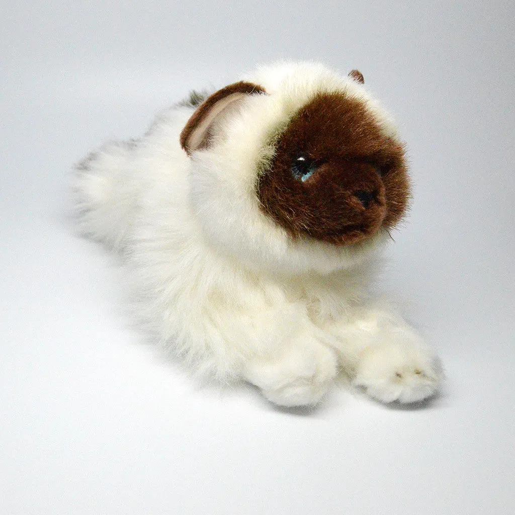 Angora Plush Cat