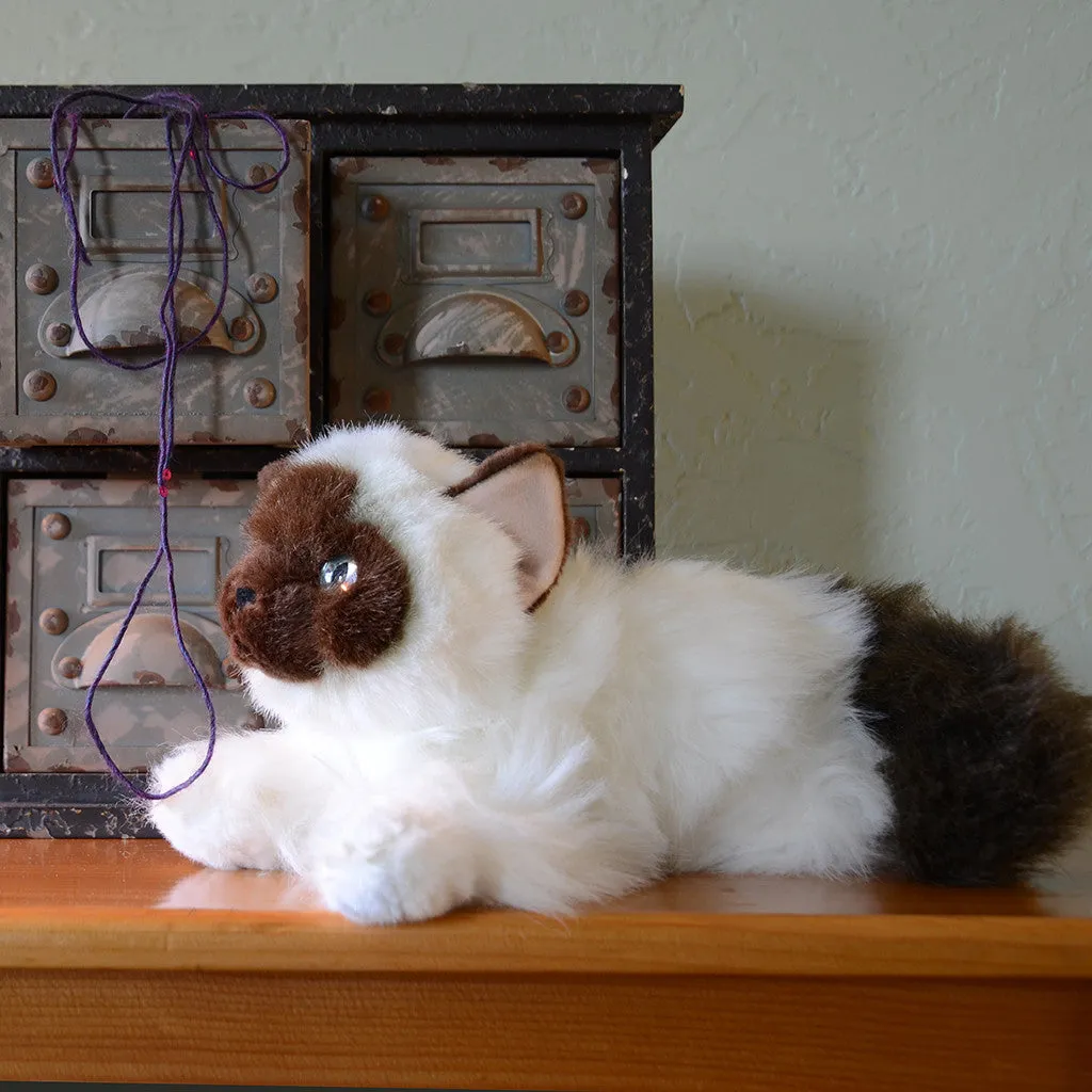 Angora Plush Cat