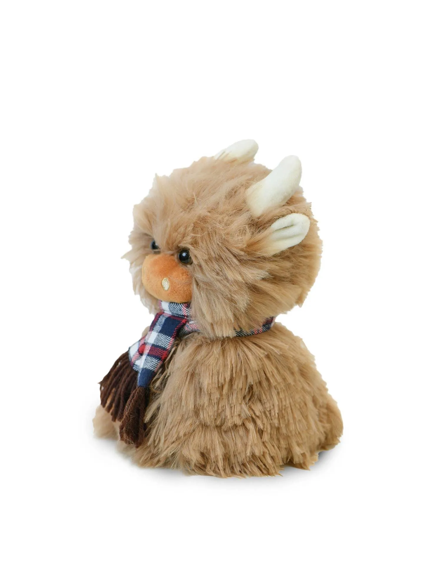 Angus the Highland Cow