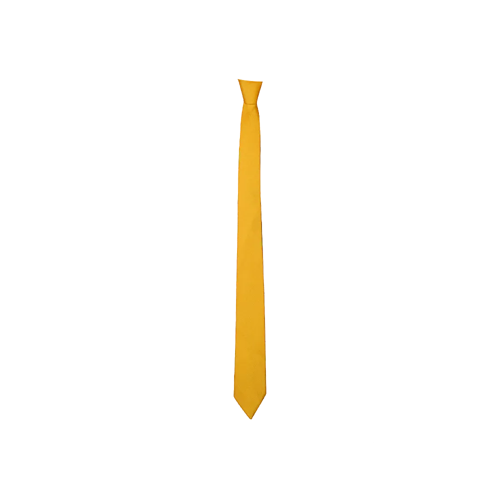 Chokore Plain Yellow Color Silk Tie & Yellow color Floral Print Pocket Square from Indian design set