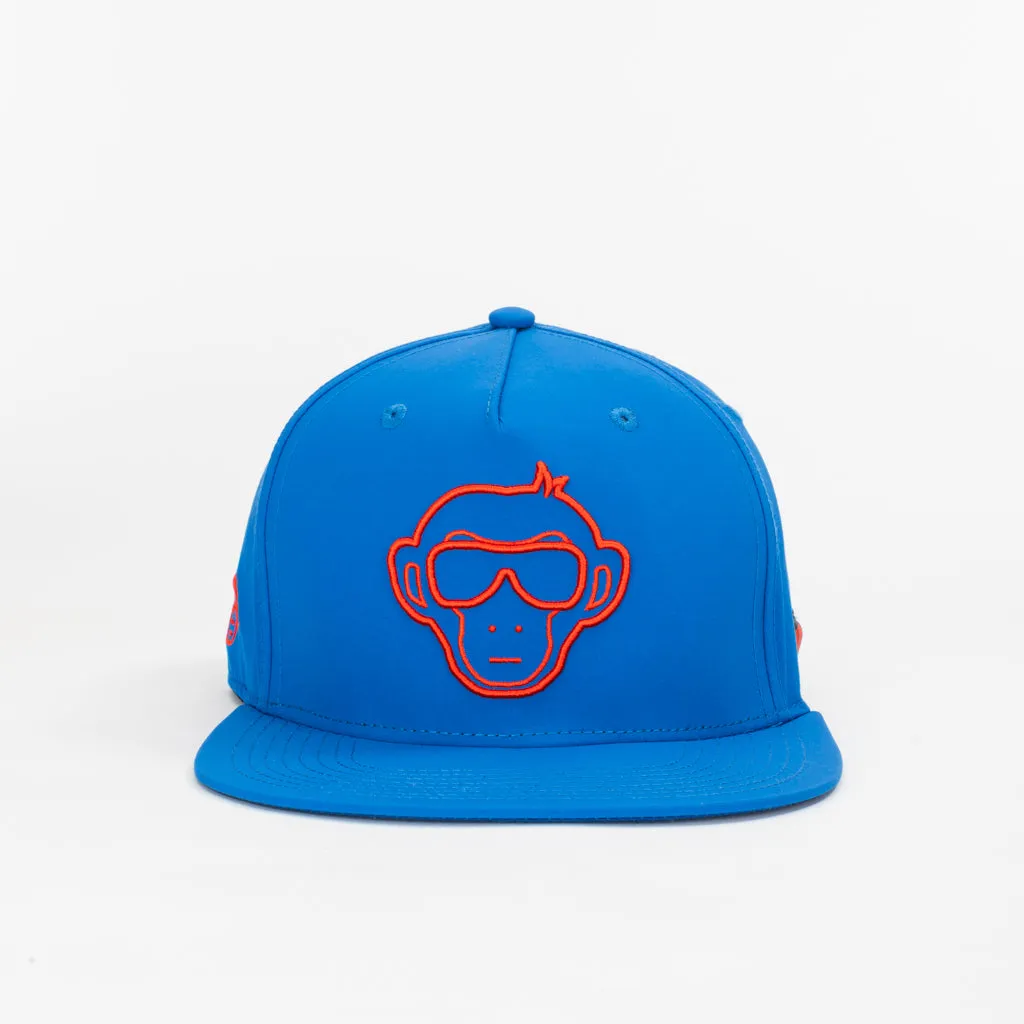 Drip Authority // 002