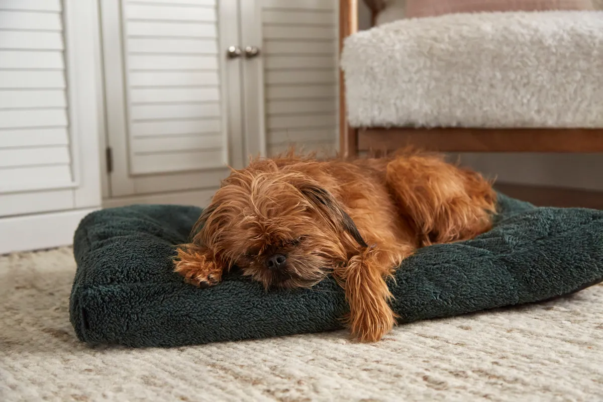 Fuzzy Mattress Bed - Sage