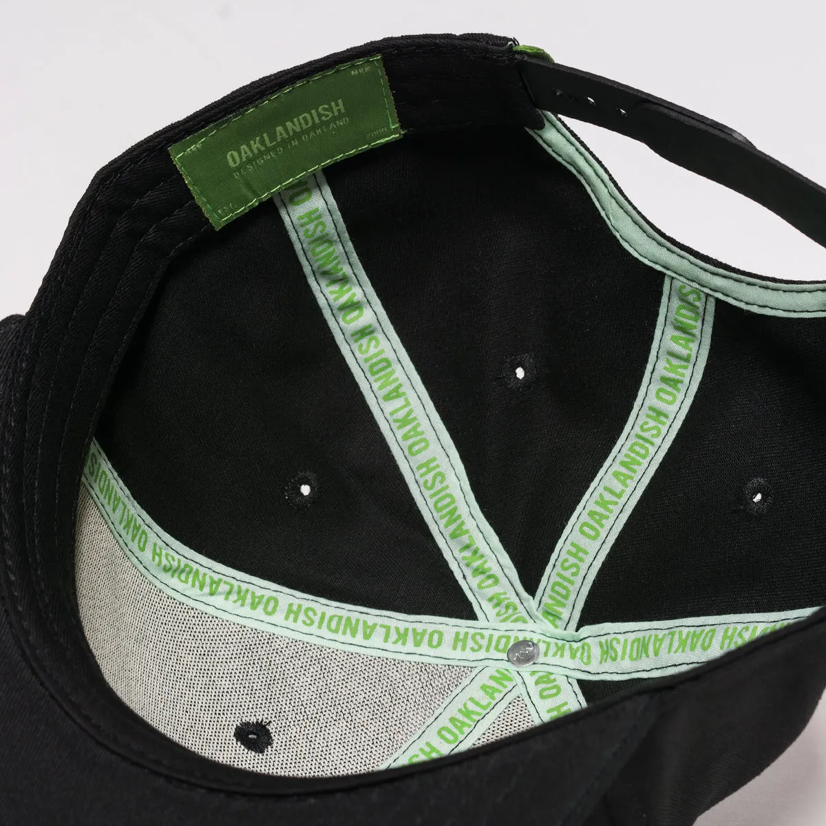 Greenback Snapback