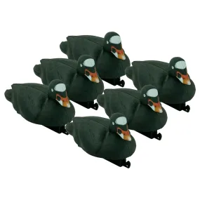 Migration Edition Surf Scoter