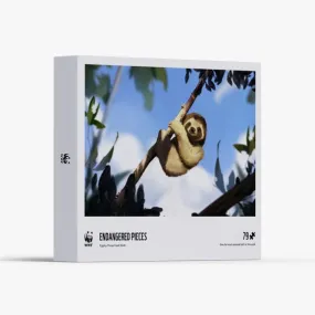 Pygmy three-toed sloth puzzle