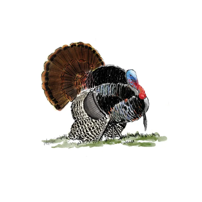 Embroidered Turkey Hat in Realtree Bottomland Camouflage Pattern